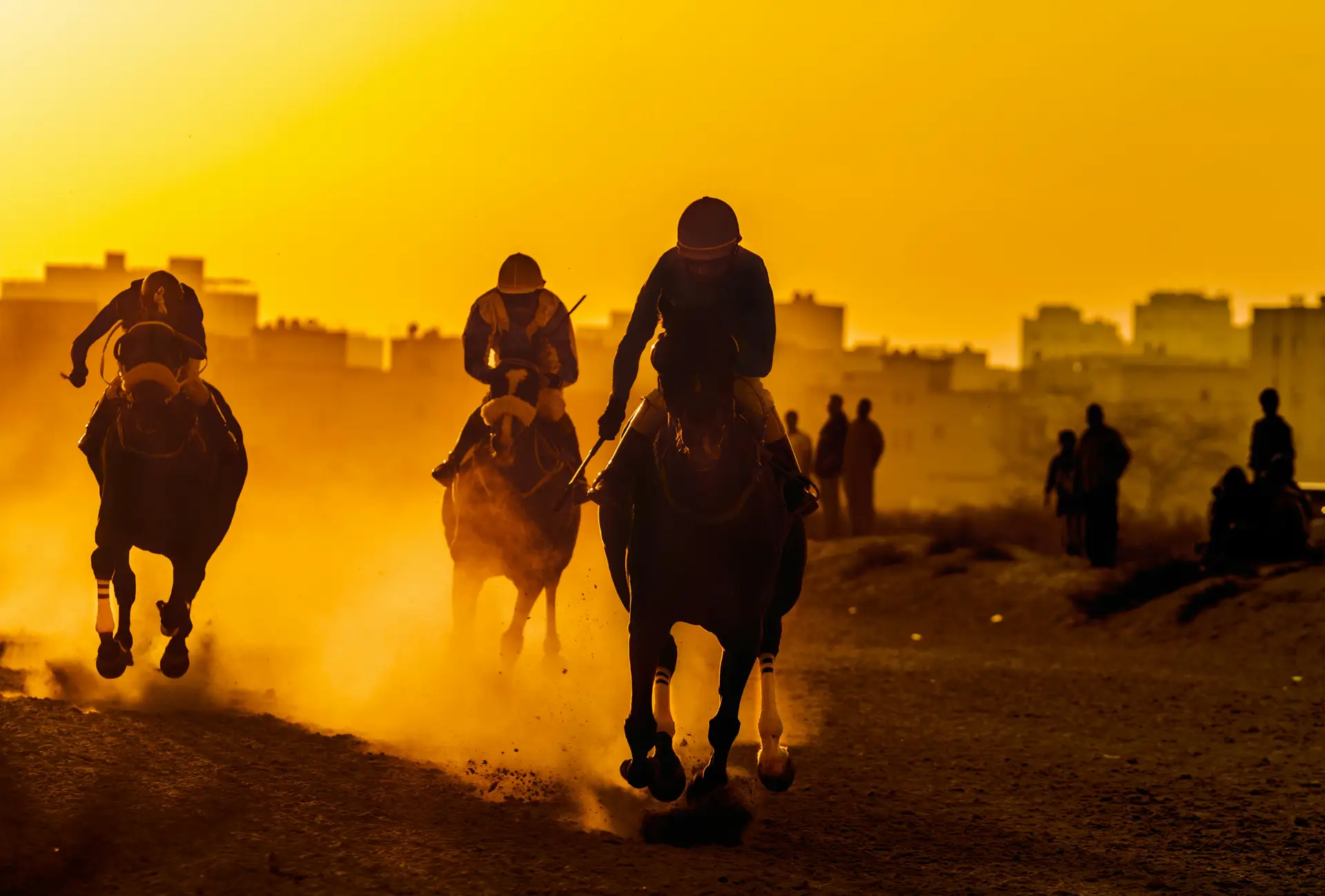 Chevaux en course sur piste au coucher du soleil
