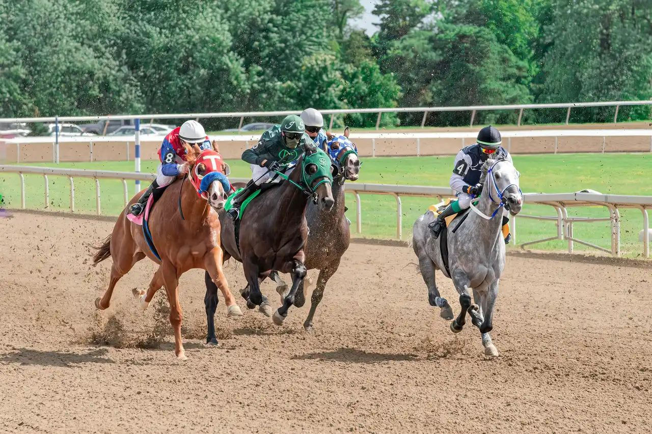 Chevaux en compétition sur une piste